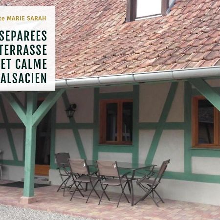 Gite Chez Marie-Sarah Petite Maison Calme Parking Ebersheim Ngoại thất bức ảnh
